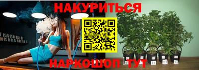 молекула духа Краснодар