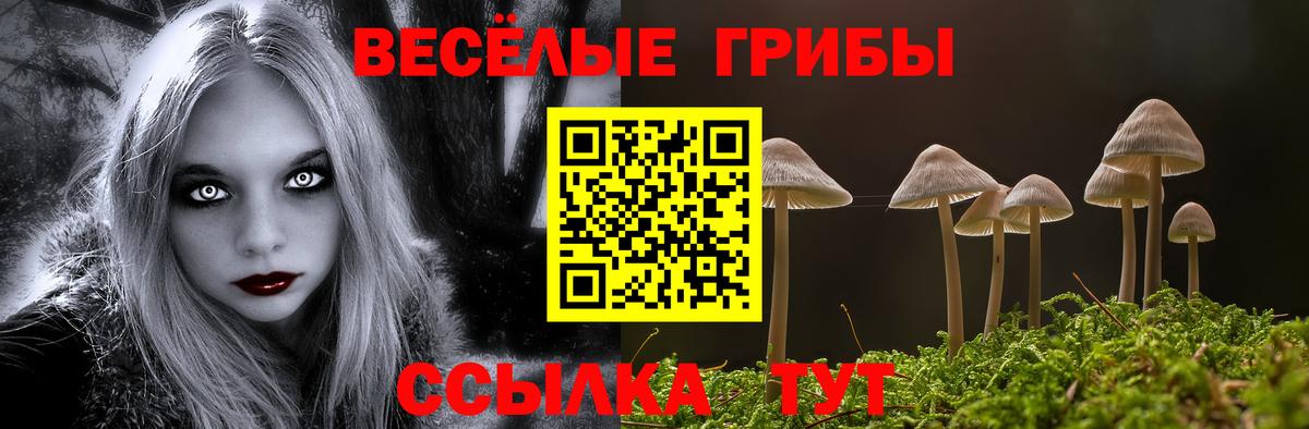 Галлюциногенные грибы MAGIC MUSHROOMS  Вход с VPN  Галлюциногенные грибы Magic Shrooms  Карталы 